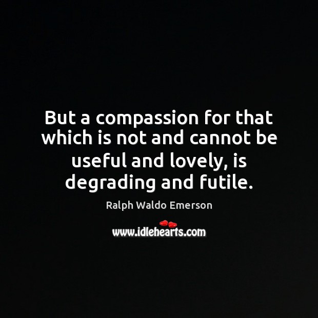 But a compassion for that which is not and cannot be useful Ralph Waldo Emerson Picture Quote