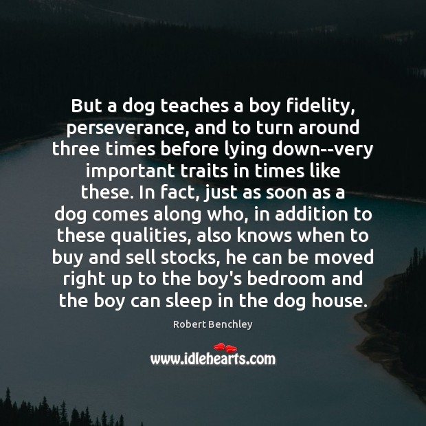 But a dog teaches a boy fidelity, perseverance, and to turn around Robert Benchley Picture Quote