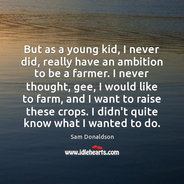 But as a young kid, I never did, really have an ambition Sam Donaldson Picture Quote