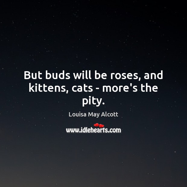 But buds will be roses, and kittens, cats – more’s the pity. Louisa May Alcott Picture Quote