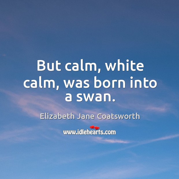 But calm, white calm, was born into a swan. Elizabeth Jane Coatsworth Picture Quote