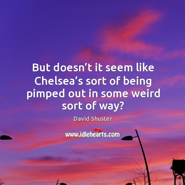 But doesn’t it seem like chelsea’s sort of being pimped out in some weird sort of way? David Shuster Picture Quote