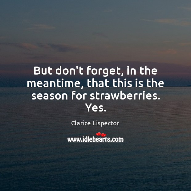 But don’t forget, in the meantime, that this is the season for strawberries. Yes. Clarice Lispector Picture Quote