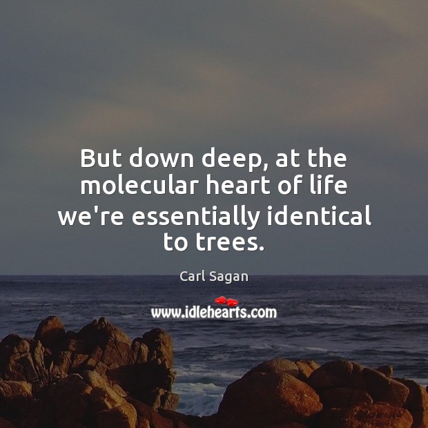 But down deep, at the molecular heart of life we’re essentially identical to trees. Carl Sagan Picture Quote