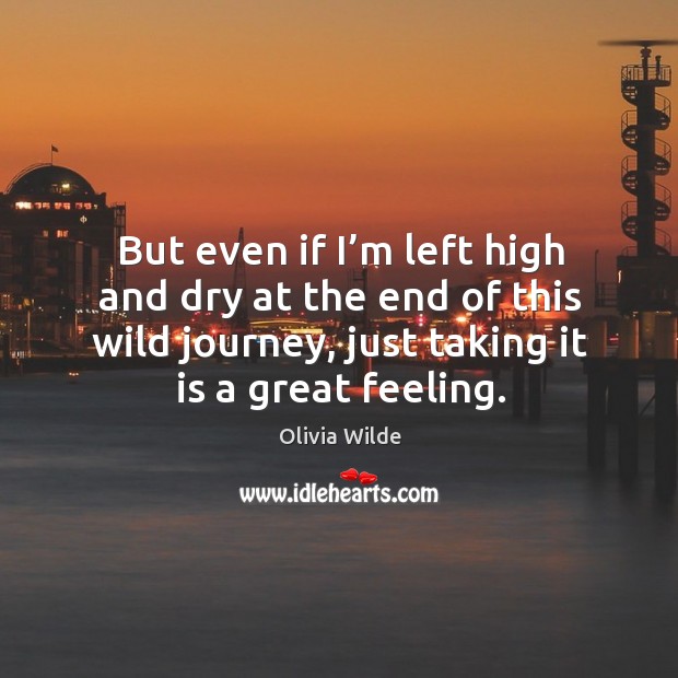 But even if I’m left high and dry at the end of this wild journey, just taking it is a great feeling. Olivia Wilde Picture Quote