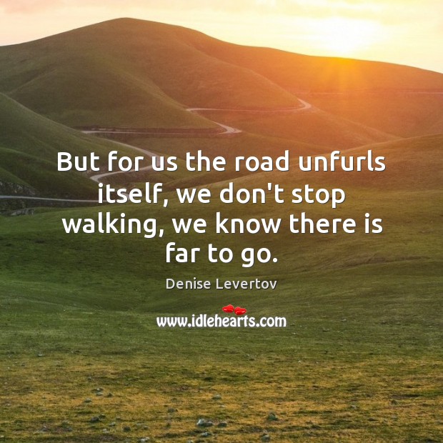 But for us the road unfurls itself, we don’t stop walking, we know there is far to go. Denise Levertov Picture Quote