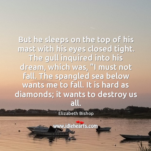 But he sleeps on the top of his mast with his eyes Elizabeth Bishop Picture Quote