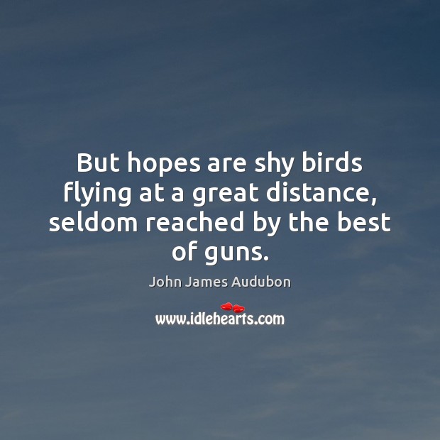 But hopes are shy birds flying at a great distance, seldom reached by the best of guns. John James Audubon Picture Quote