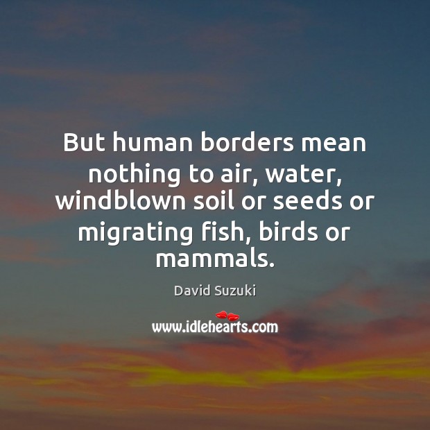 But human borders mean nothing to air, water, windblown soil or seeds David Suzuki Picture Quote