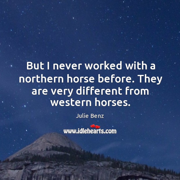 But I never worked with a northern horse before. They are very different from western horses. Julie Benz Picture Quote