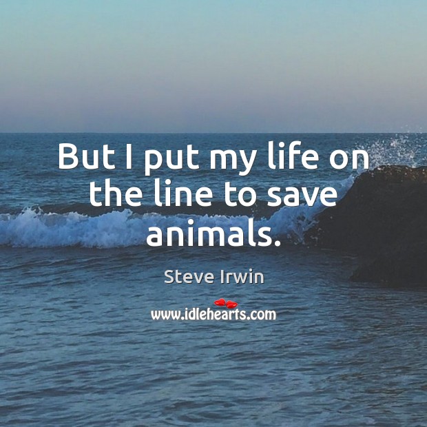 But I put my life on the line to save animals. Steve Irwin Picture Quote