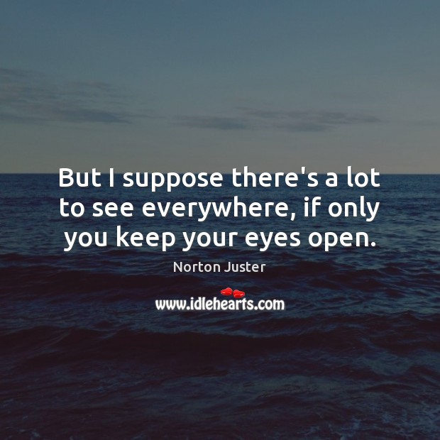 But I suppose there’s a lot to see everywhere, if only you keep your eyes open. Norton Juster Picture Quote