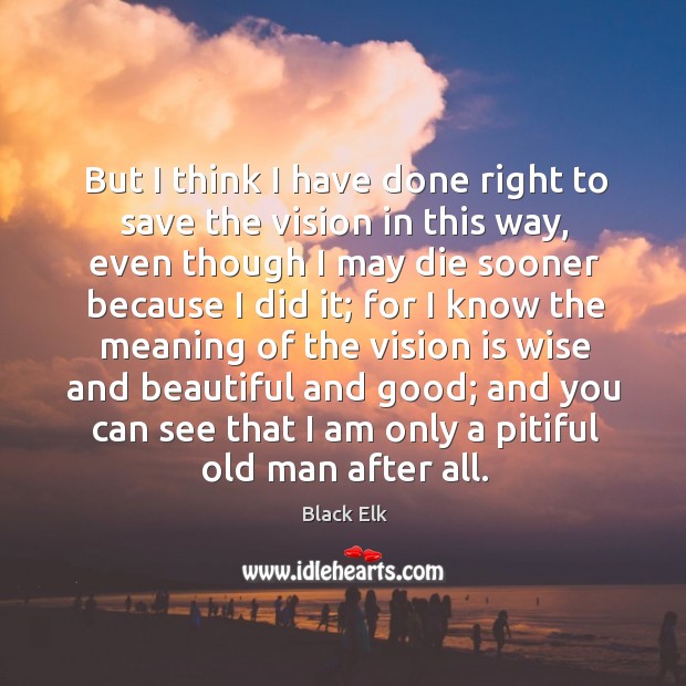 But I think I have done right to save the vision in this way Black Elk Picture Quote