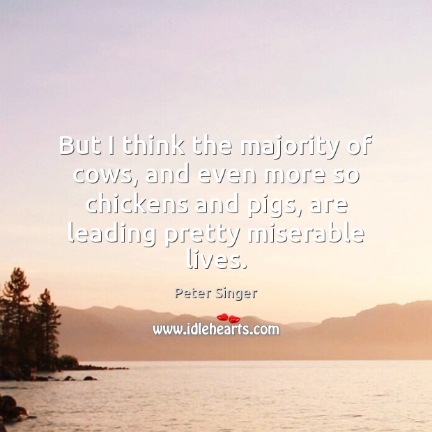 But I think the majority of cows, and even more so chickens Peter Singer Picture Quote