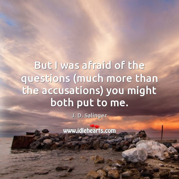 But I was afraid of the questions (much more than the accusations) J. D. Salinger Picture Quote