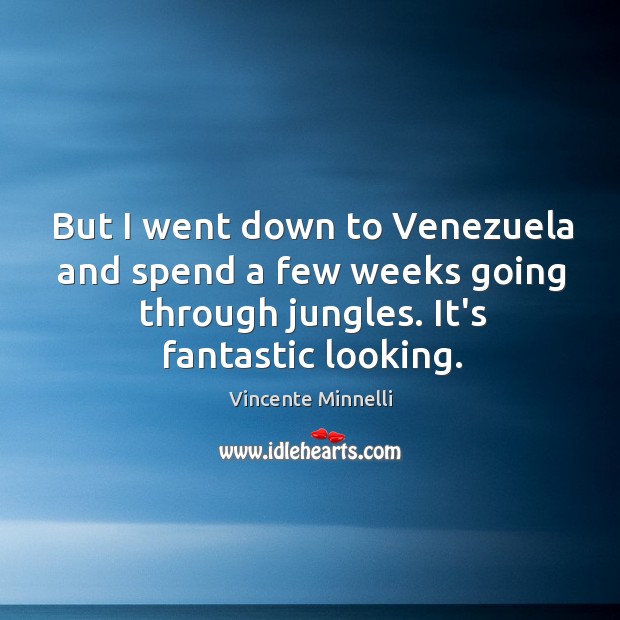 But I went down to Venezuela and spend a few weeks going Vincente Minnelli Picture Quote