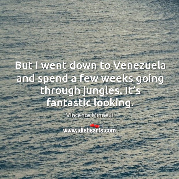 But I went down to venezuela and spend a few weeks going through jungles. It’s fantastic looking. Vincente Minnelli Picture Quote