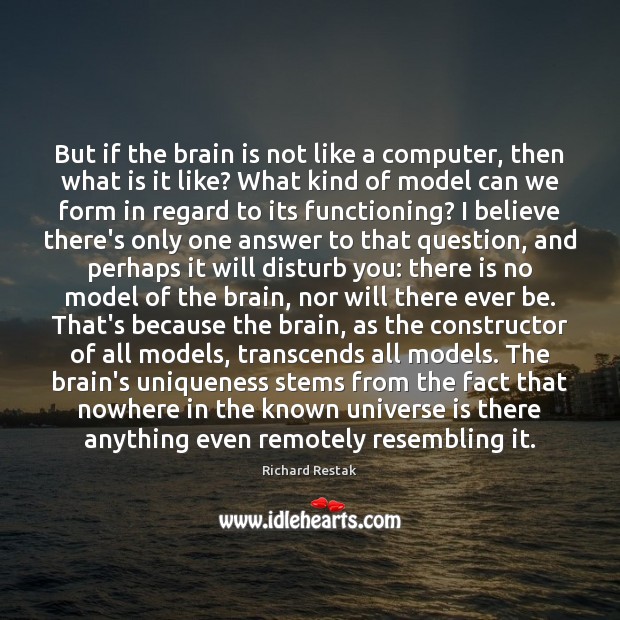 But if the brain is not like a computer, then what is Image