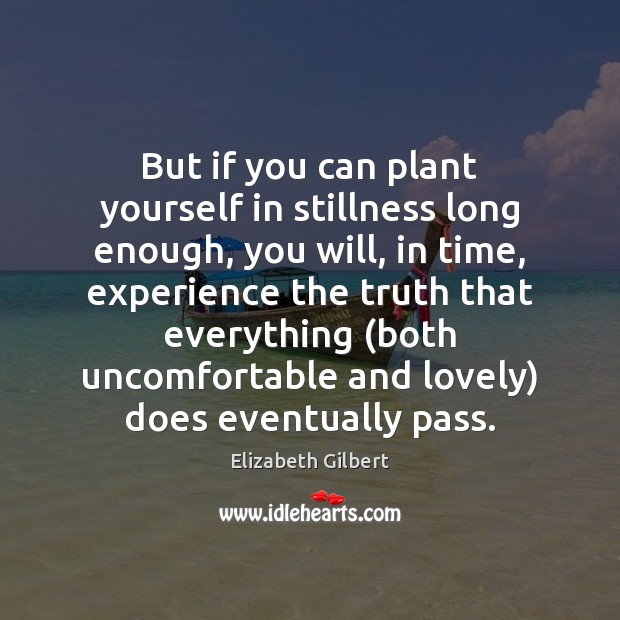 But if you can plant yourself in stillness long enough, you will, Elizabeth Gilbert Picture Quote