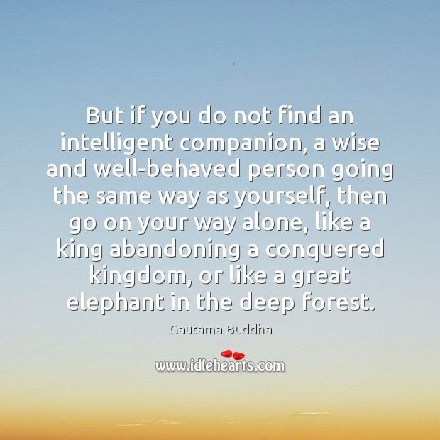 But if you do not find an intelligent companion, a wise and Gautama Buddha Picture Quote