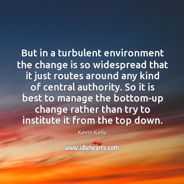 But in a turbulent environment the change is so widespread that it just routes around any kind of central authority. Kevin Kelly Picture Quote