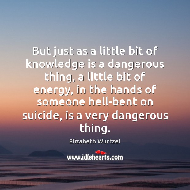 But just as a little bit of knowledge is a dangerous thing, Elizabeth Wurtzel Picture Quote