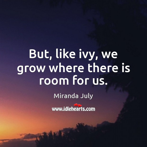 But, like ivy, we grow where there is room for us. Miranda July Picture Quote