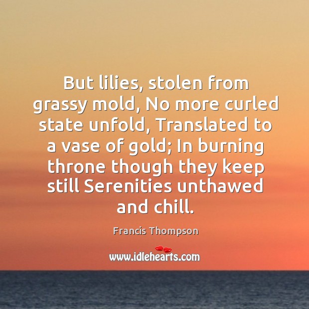 But lilies, stolen from grassy mold, No more curled state unfold, Translated Francis Thompson Picture Quote