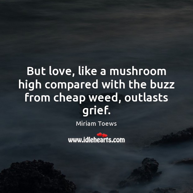 But love, like a mushroom high compared with the buzz from cheap weed, outlasts grief. Image