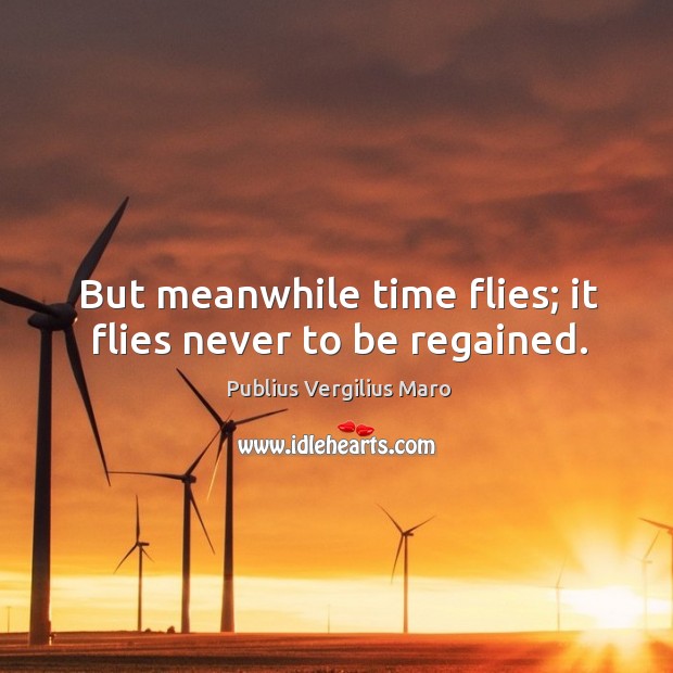 But meanwhile time flies; it flies never to be regained. Image