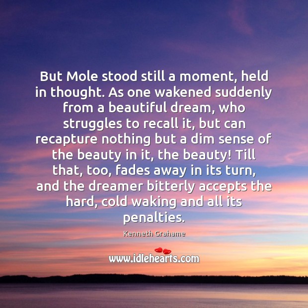 But Mole stood still a moment, held in thought. As one wakened 