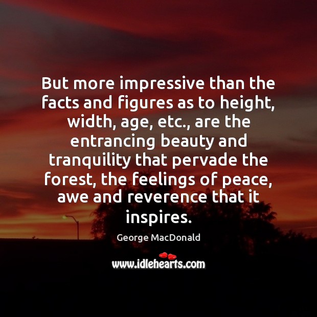 But more impressive than the facts and figures as to height, width, George MacDonald Picture Quote