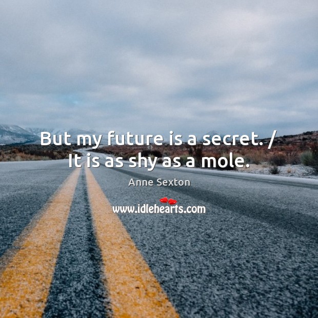 But my future is a secret. / It is as shy as a mole. Anne Sexton Picture Quote
