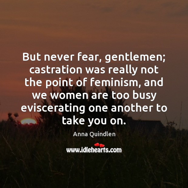 But never fear, gentlemen; castration was really not the point of feminism, Anna Quindlen Picture Quote