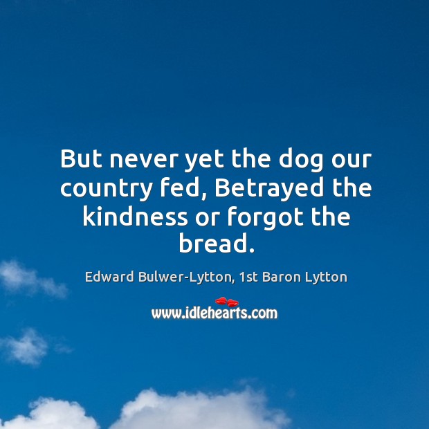 But never yet the dog our country fed, Betrayed the kindness or forgot the bread. Image