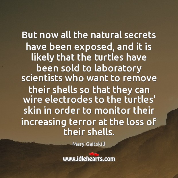 But now all the natural secrets have been exposed, and it is Mary Gaitskill Picture Quote