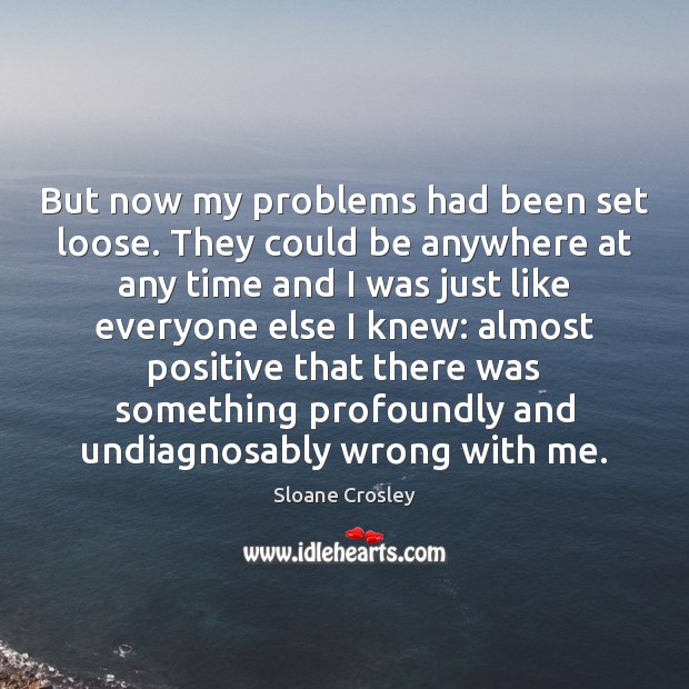 But now my problems had been set loose. They could be anywhere Sloane Crosley Picture Quote
