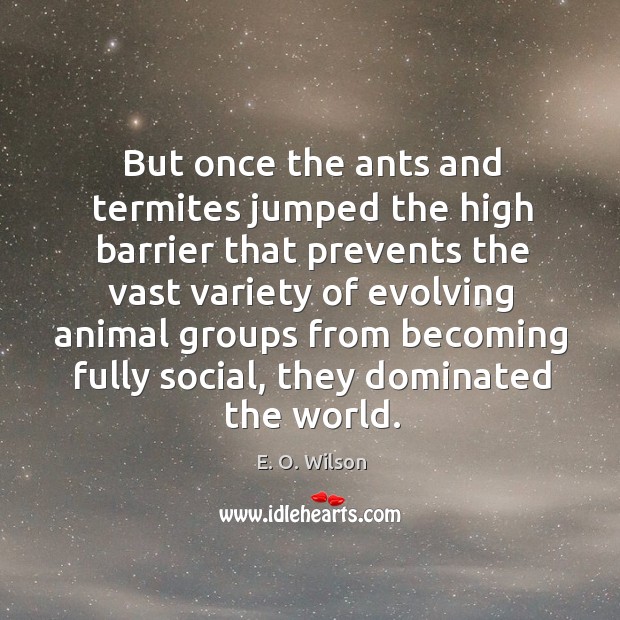But once the ants and termites jumped the high barrier that prevents E. O. Wilson Picture Quote