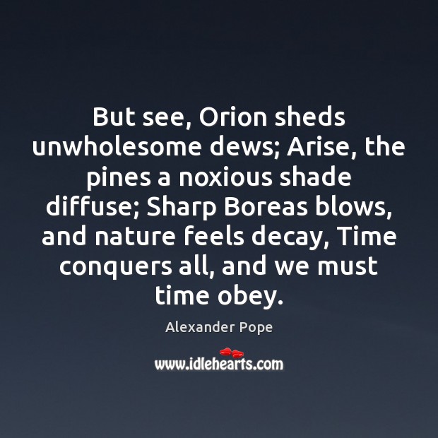 But see, Orion sheds unwholesome dews; Arise, the pines a noxious shade Alexander Pope Picture Quote