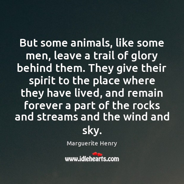But some animals, like some men, leave a trail of glory behind Marguerite Henry Picture Quote