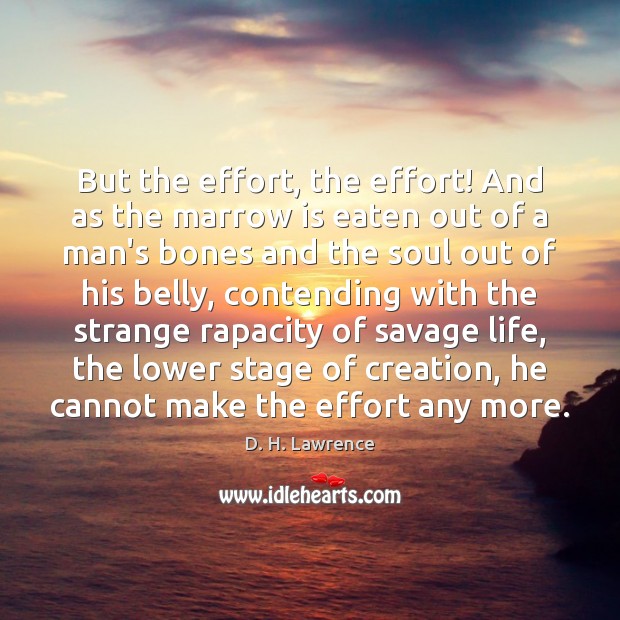 But the effort, the effort! And as the marrow is eaten out D. H. Lawrence Picture Quote