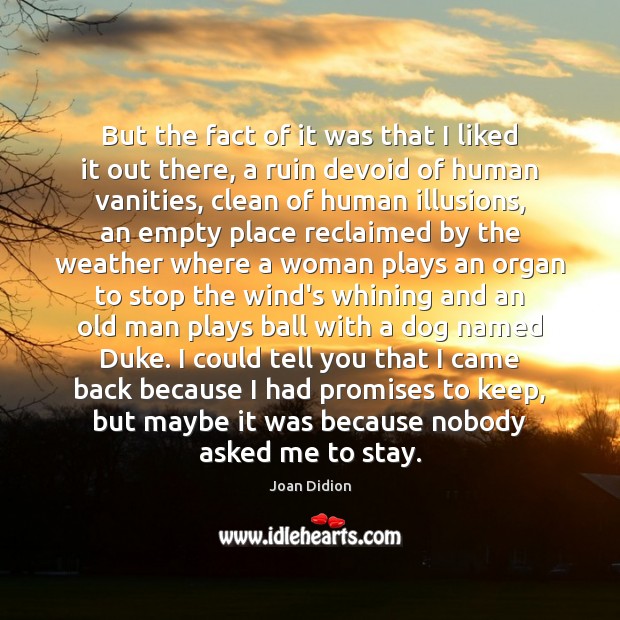 But the fact of it was that I liked it out there, Joan Didion Picture Quote