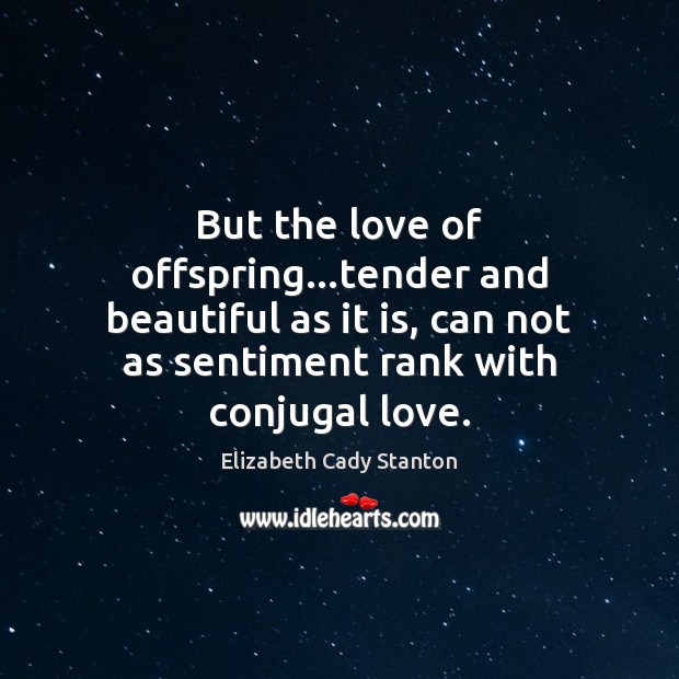 But the love of offspring…tender and beautiful as it is, can Elizabeth Cady Stanton Picture Quote