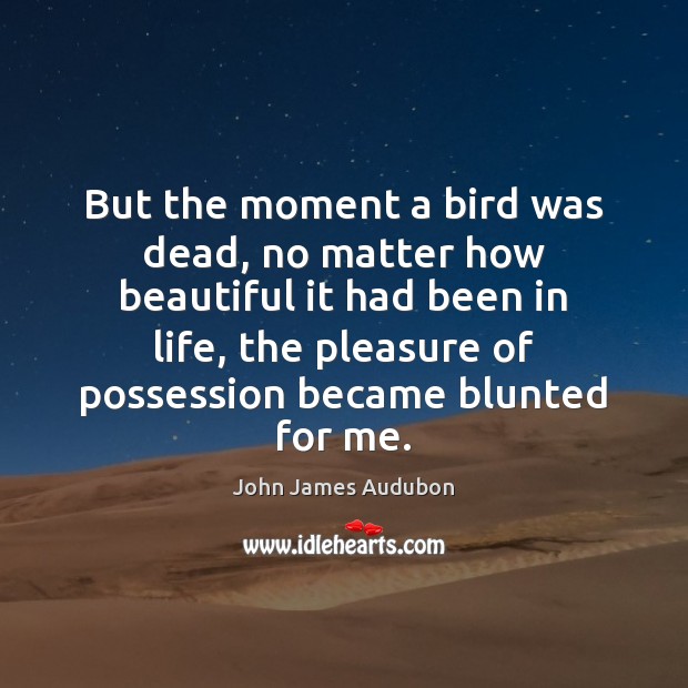 But the moment a bird was dead, no matter how beautiful it John James Audubon Picture Quote