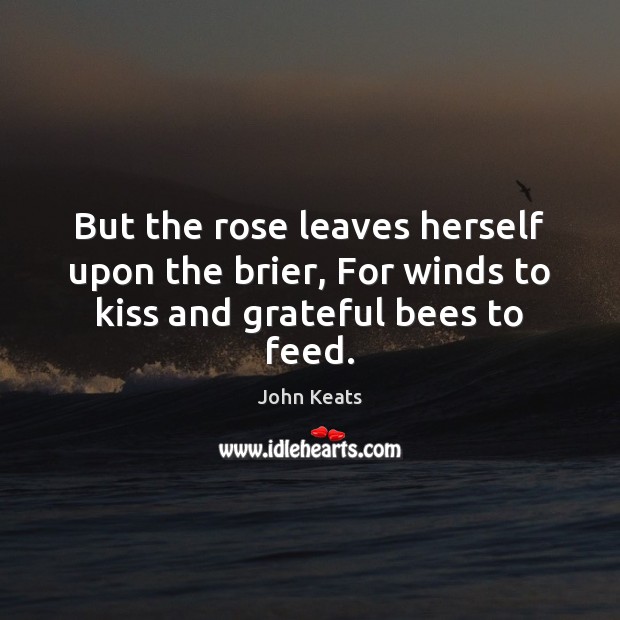 But the rose leaves herself upon the brier, For winds to kiss and grateful bees to feed. Image