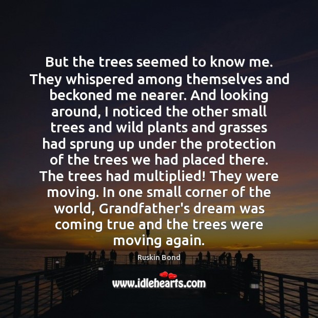 But the trees seemed to know me. They whispered among themselves and Ruskin Bond Picture Quote