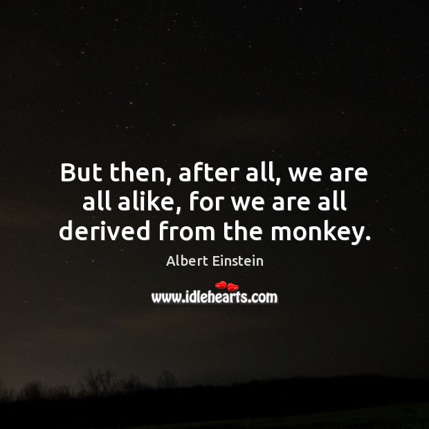 But then, after all, we are all alike, for we are all derived from the monkey. Albert Einstein Picture Quote
