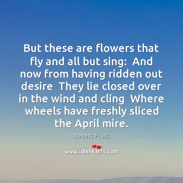 But these are flowers that fly and all but sing:  And now Robert Frost Picture Quote