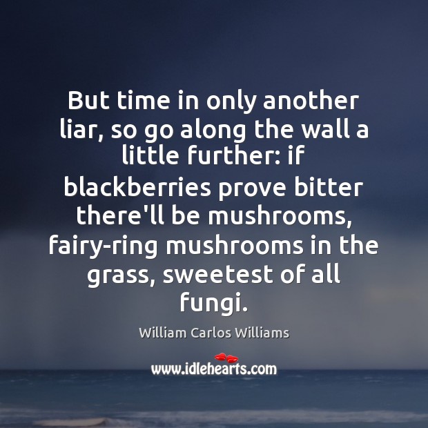 But time in only another liar, so go along the wall a William Carlos Williams Picture Quote