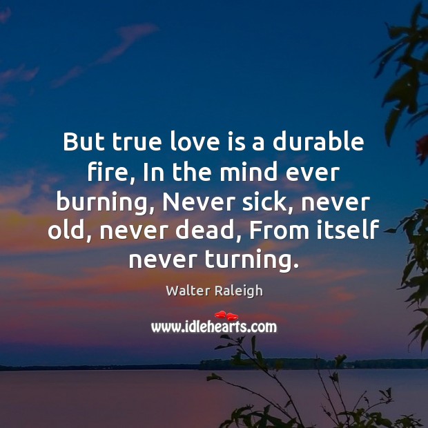 But true love is a durable fire, In the mind ever burning, 